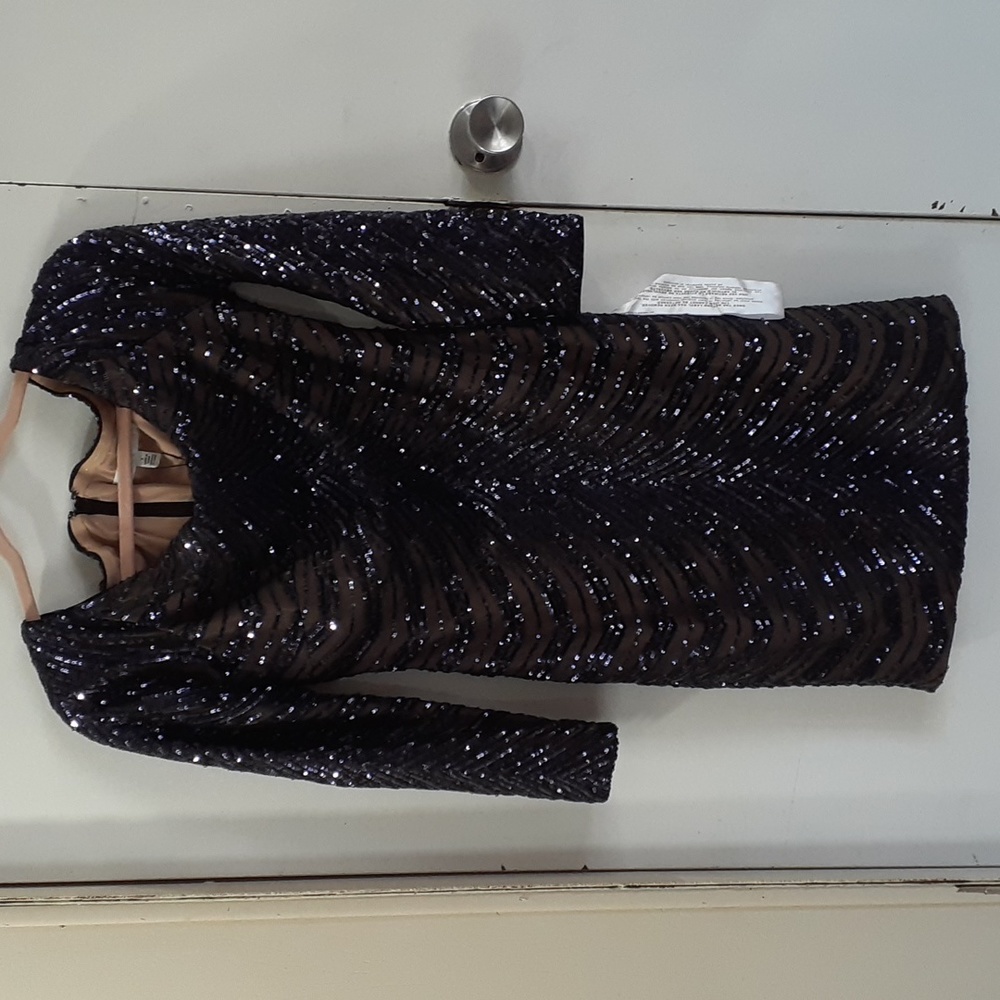 BNWT Dress The Population Dress
